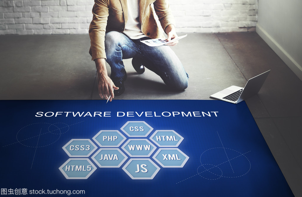 商人與軟件開發工作 市場調查的策略與實踐