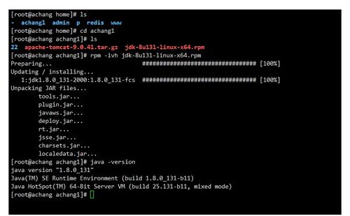 Linux系統(tǒng)服務(wù)入門 三種軟件安裝方式與服務(wù)器環(huán)境搭建